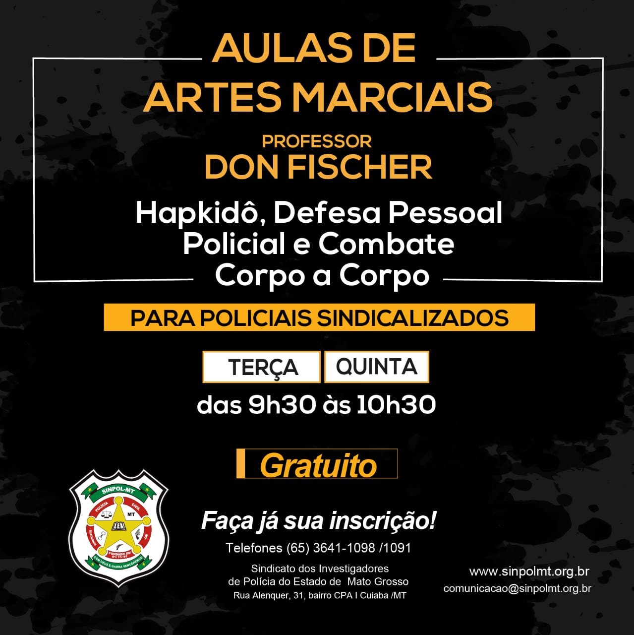 AULAS DE ARTES MARCIAIS SINPOL